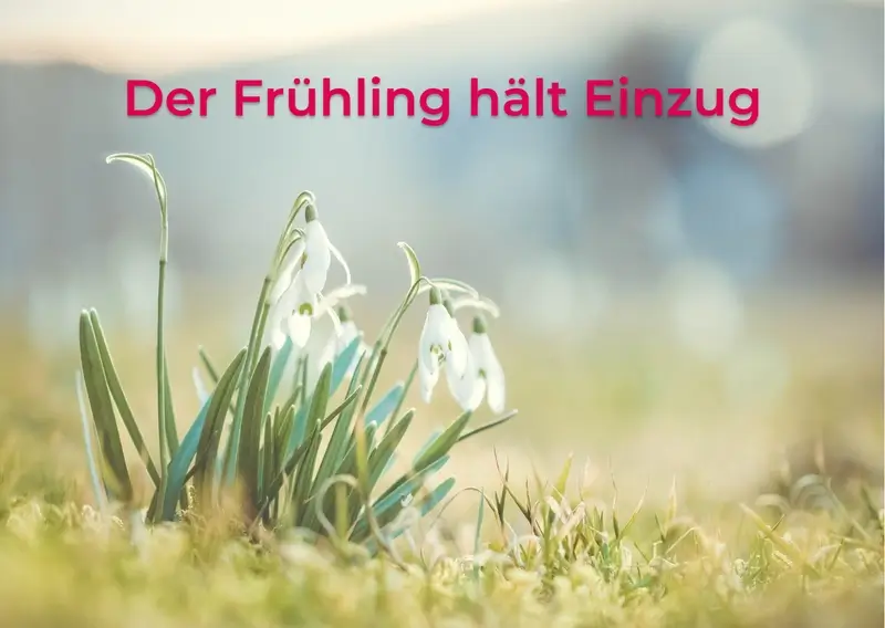 Fruehling-