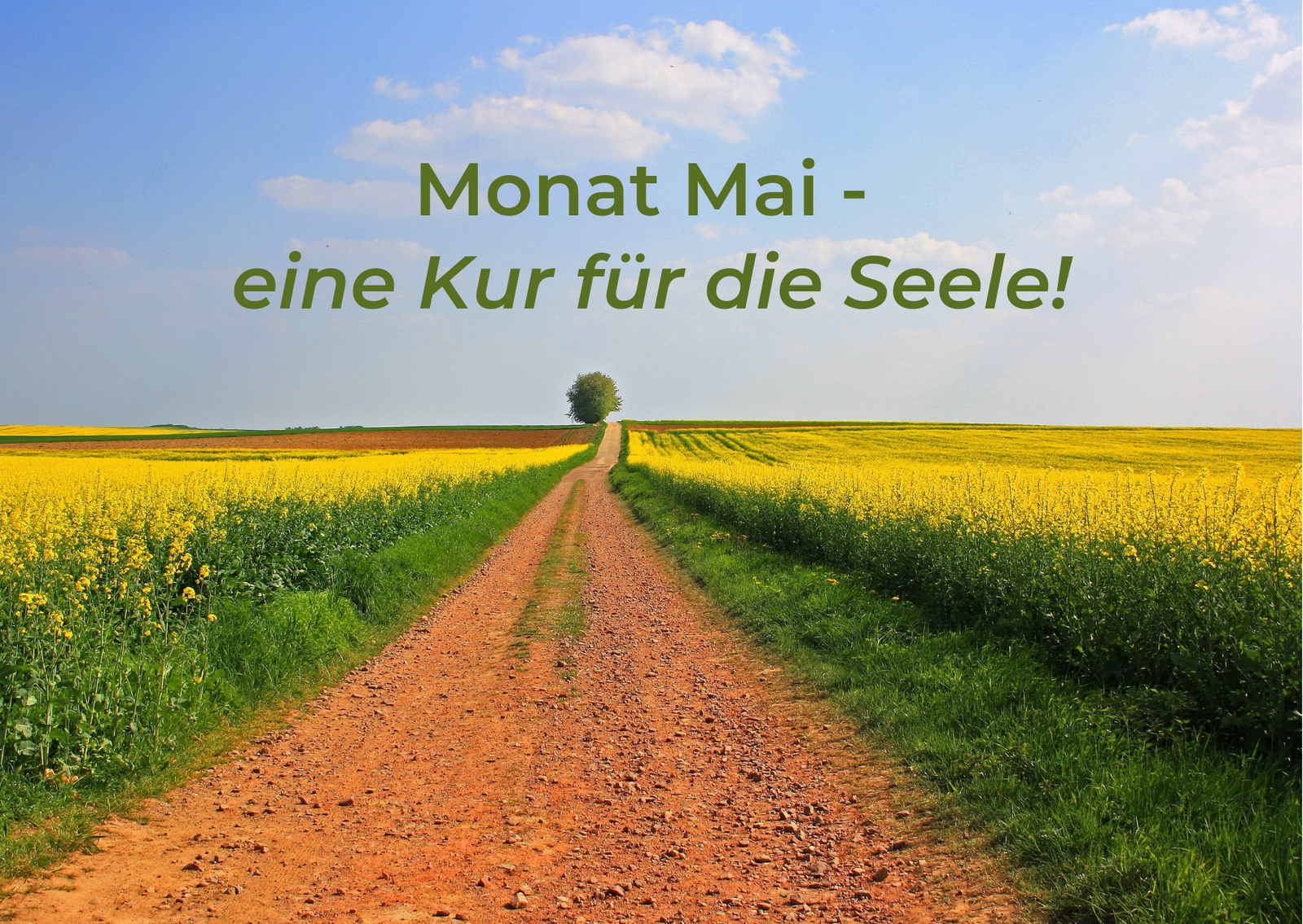 Mai_Seele