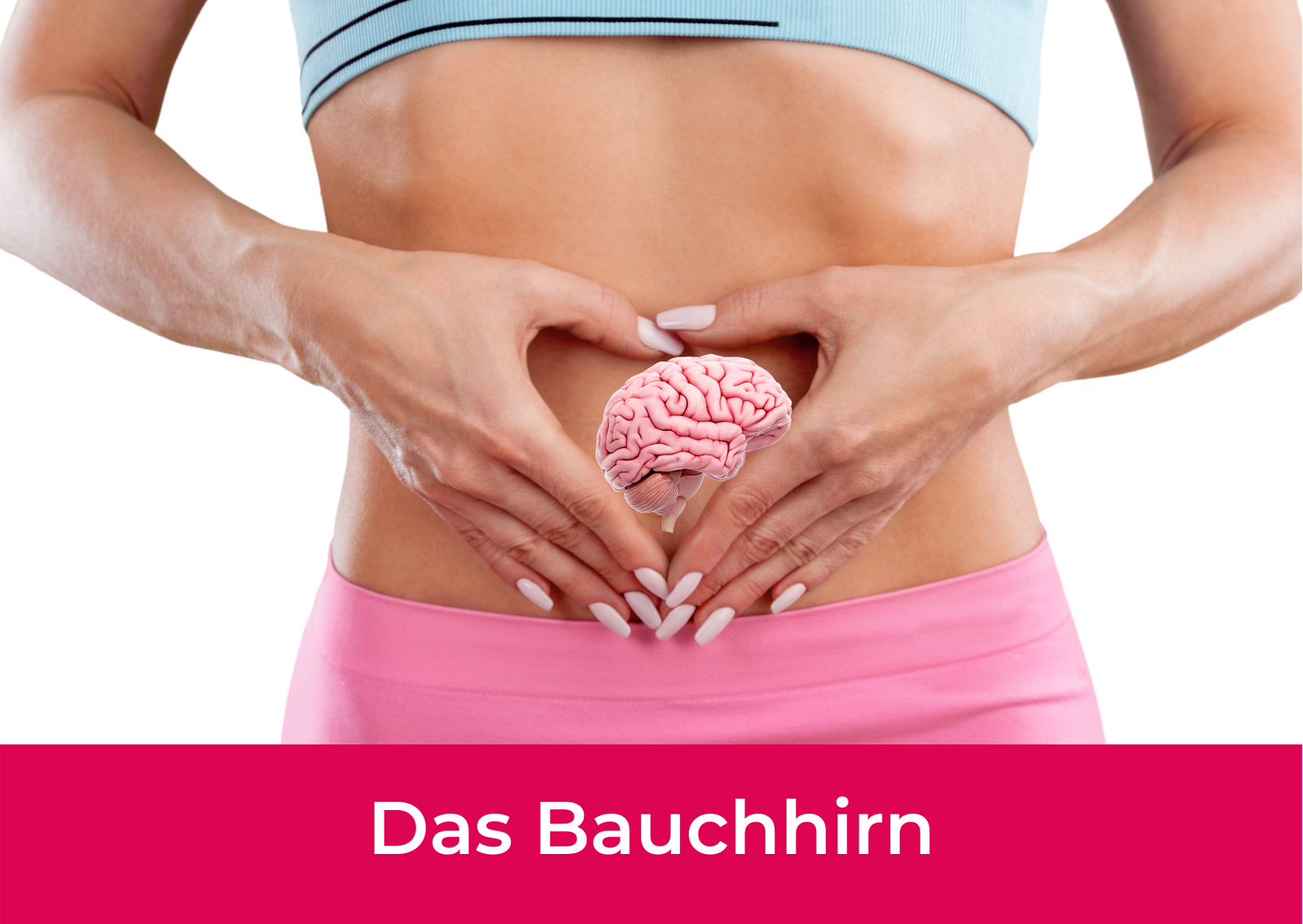 Bauchhirn