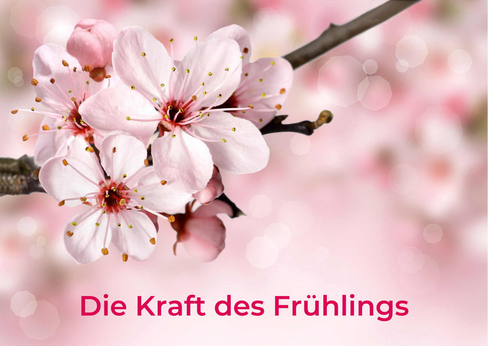 Kraft_Fruehling
