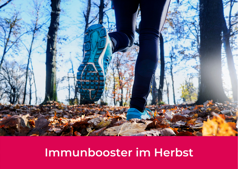 Immunbooster_Herbst