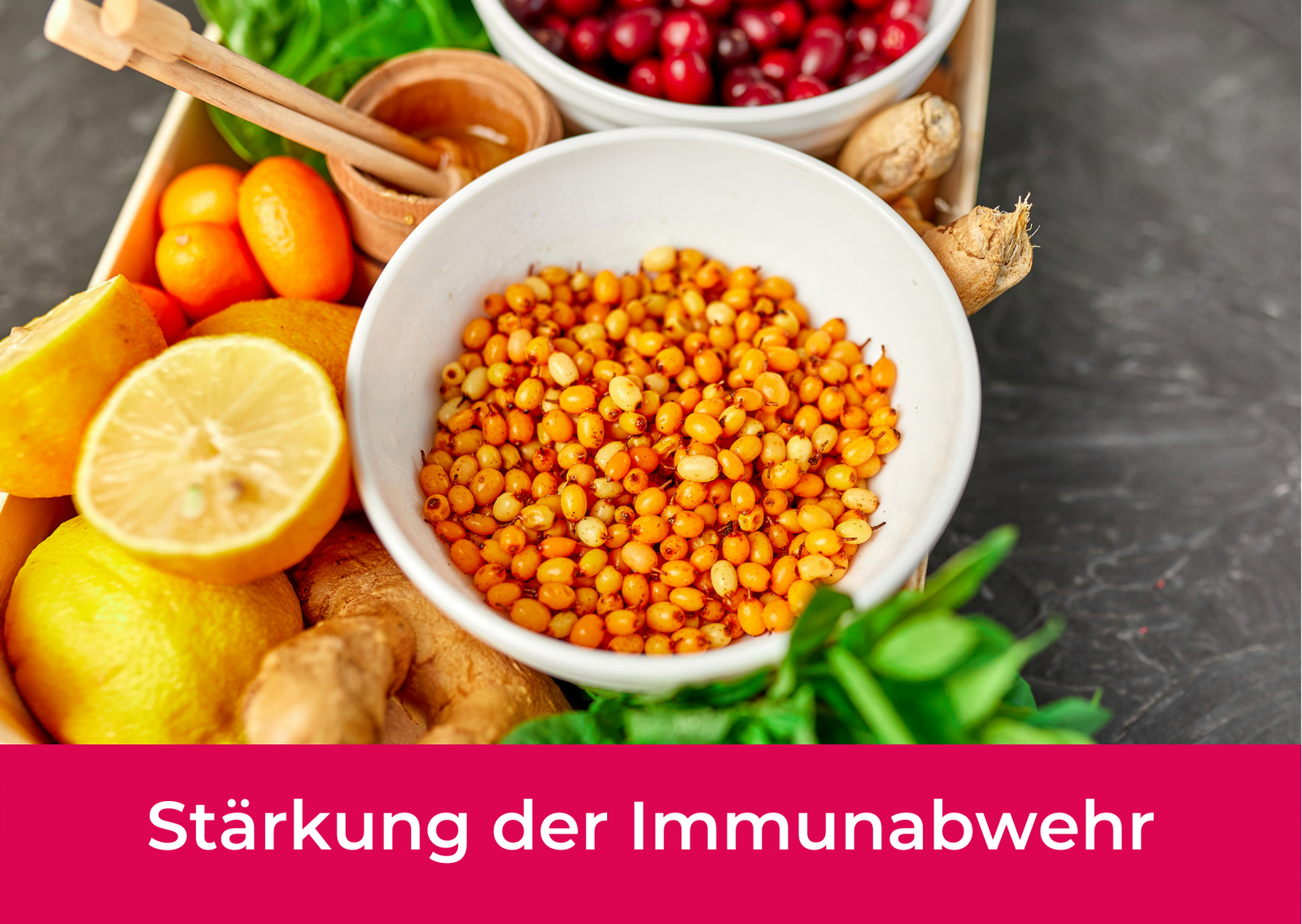 Immunabwehr-