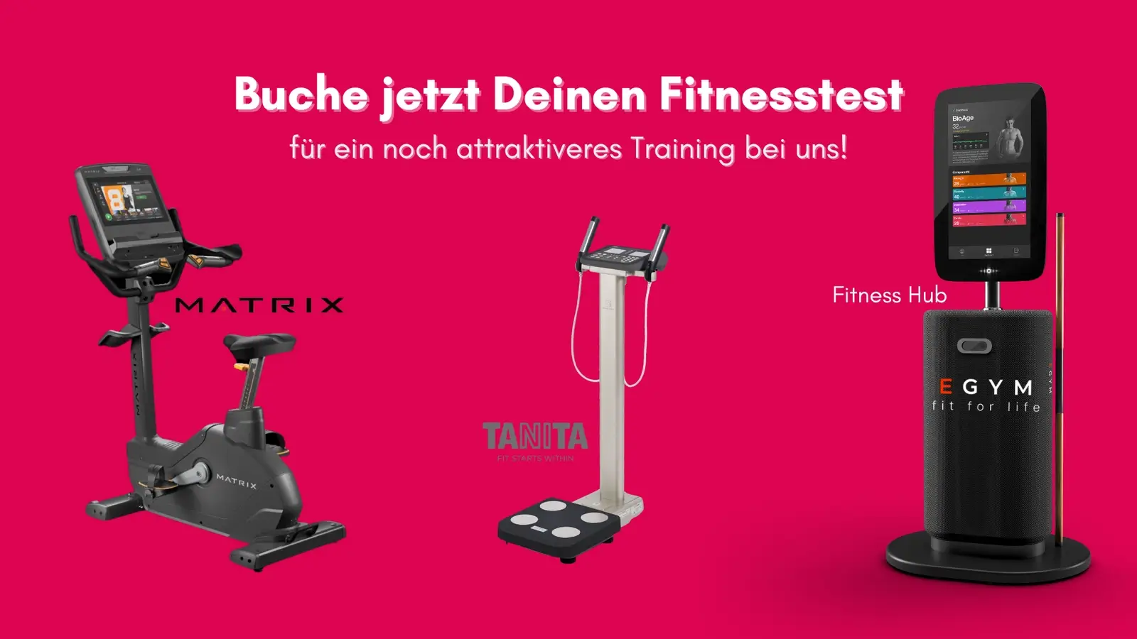 Fitnesstest3